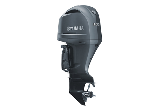 Yamaha F300 NSB (SBW)