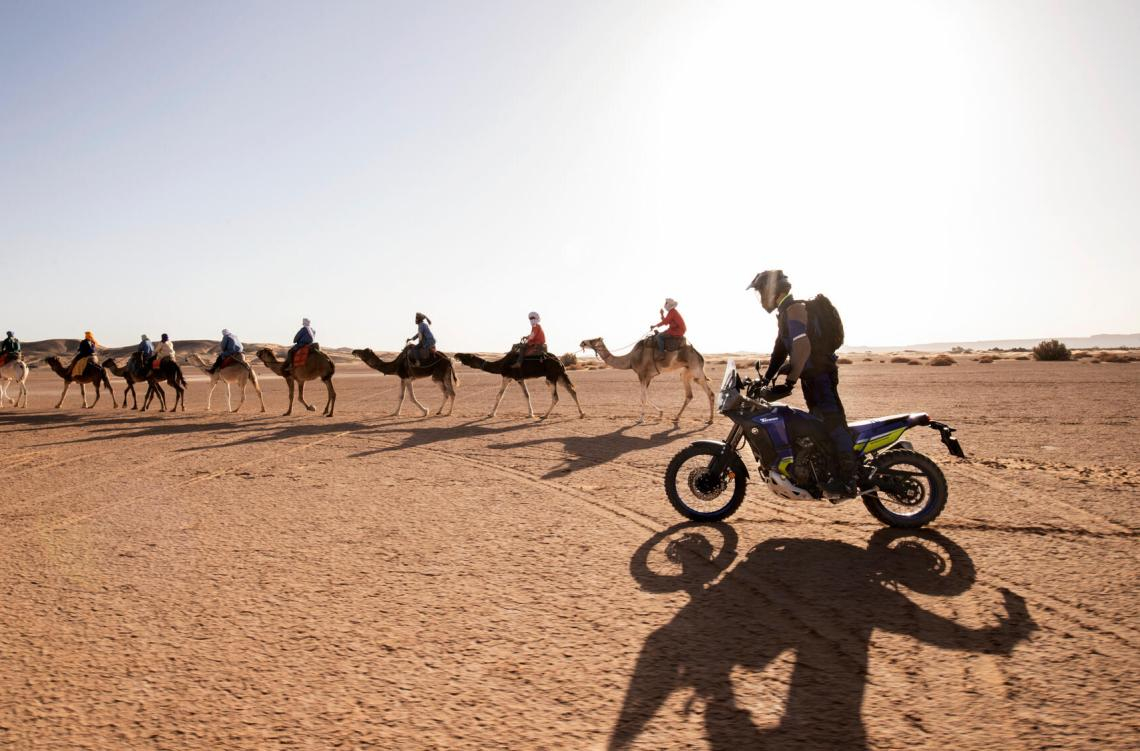 Tenere 700 World Raid