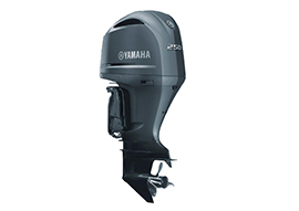 Yamaha F250NSB
